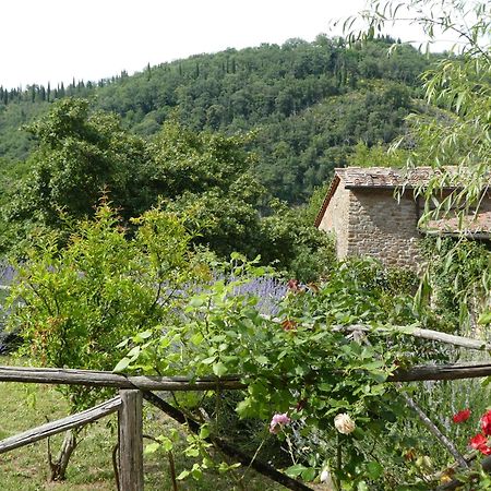 Il Capriolo Villa San Cerbone Екстериор снимка