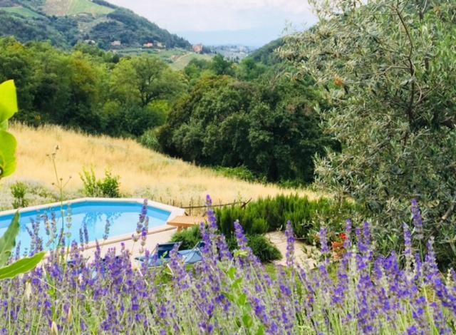 Il Capriolo Villa San Cerbone Екстериор снимка