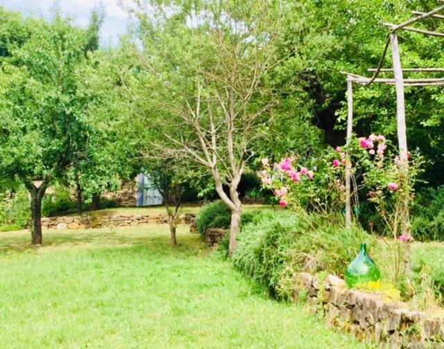 Il Capriolo Villa San Cerbone Екстериор снимка
