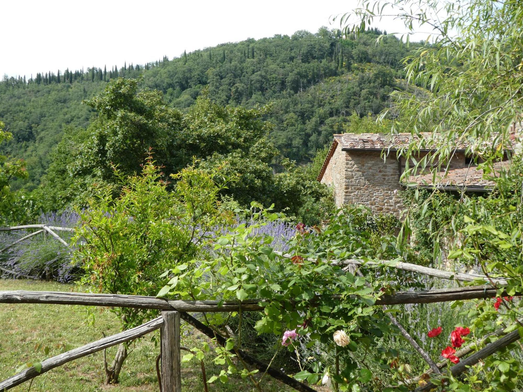 Il Capriolo Villa San Cerbone Екстериор снимка