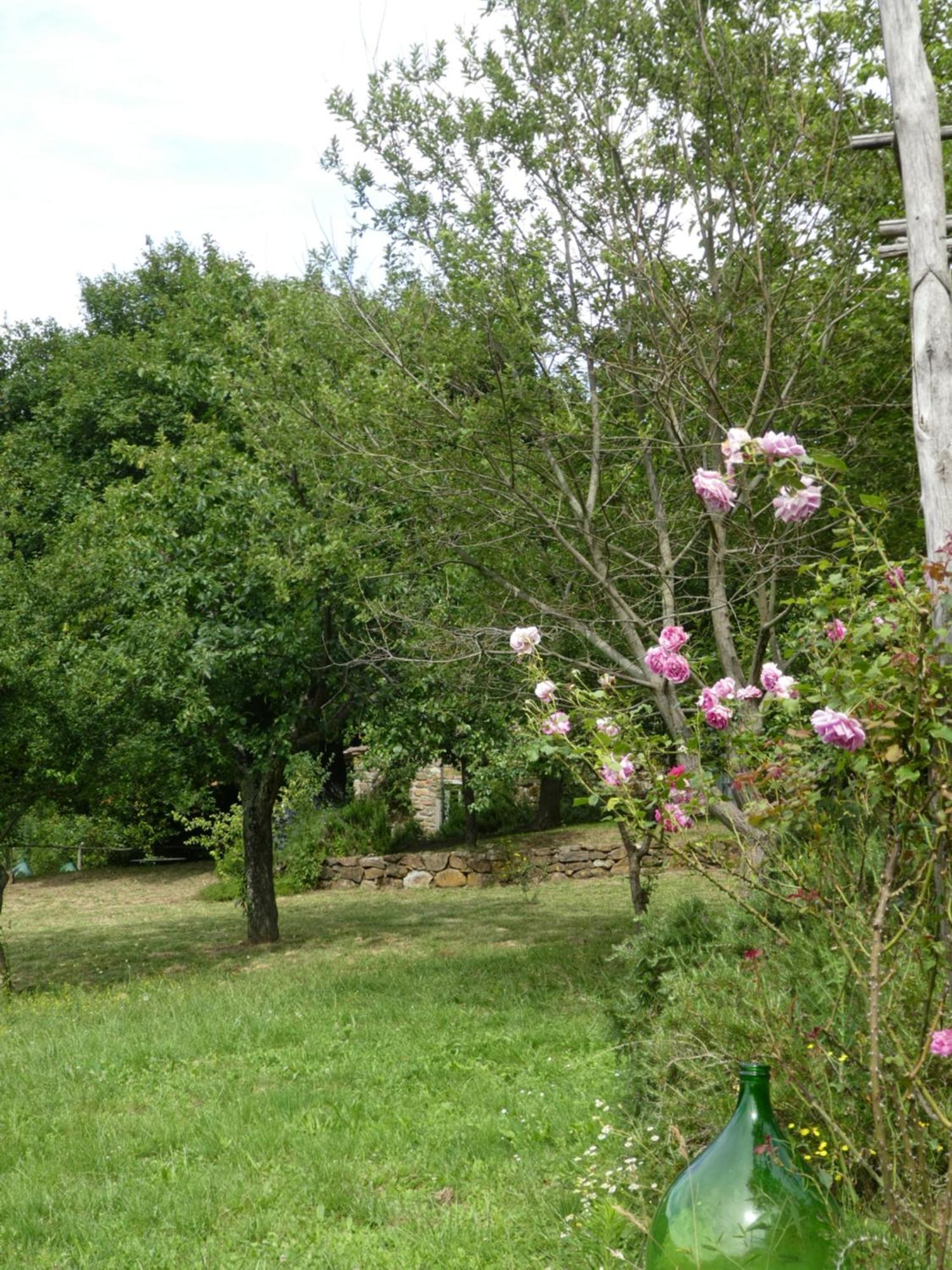 Il Capriolo Villa San Cerbone Екстериор снимка